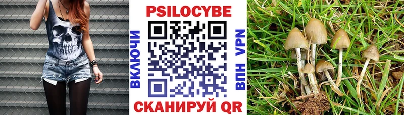 Купить закладки  Набережные Челны  Галлюциногенные грибы мицелий 